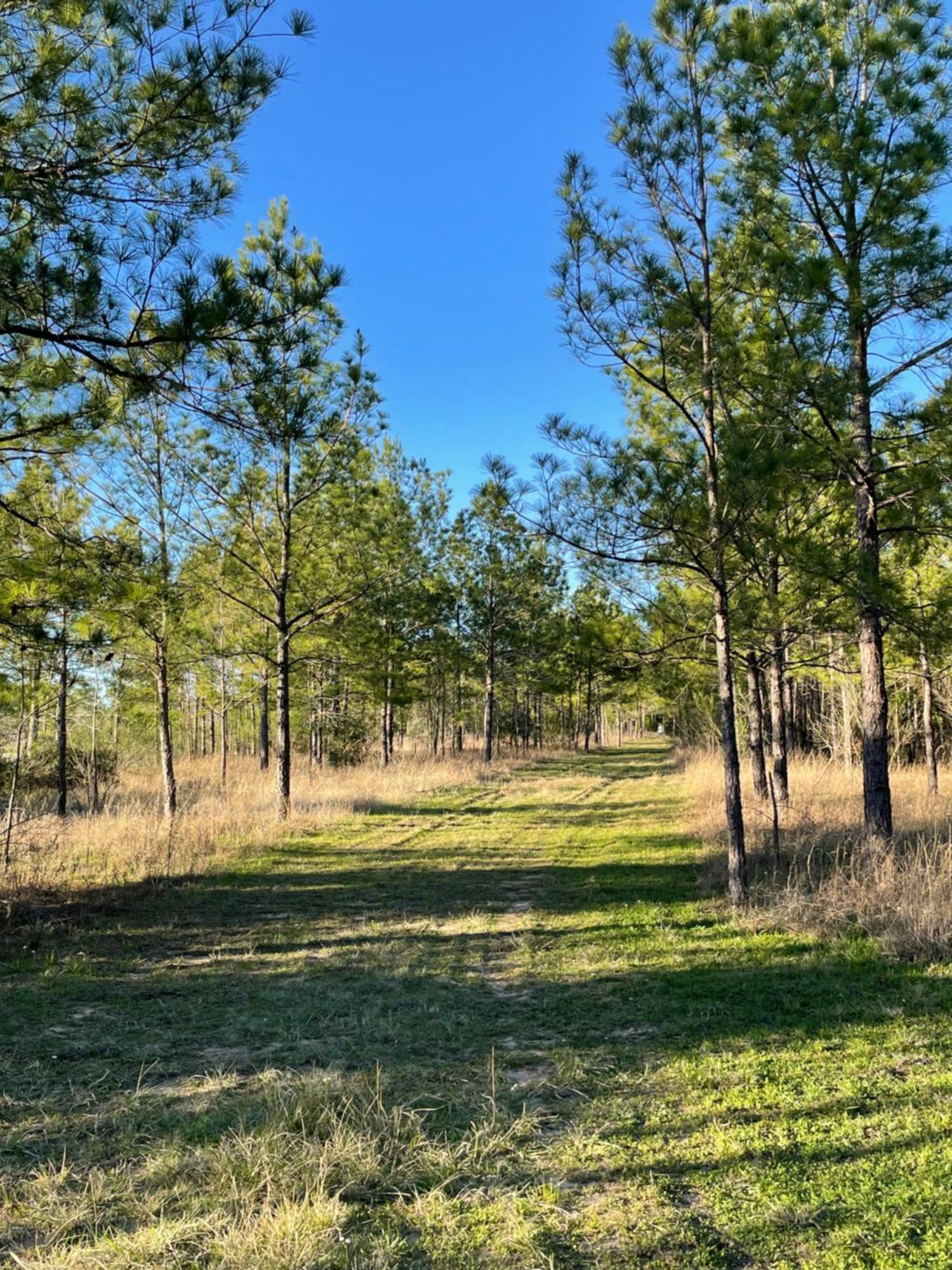 Country Getaway 4 Bedroom Resort In 10 Acre Lot 马格诺利亚 外观 照片