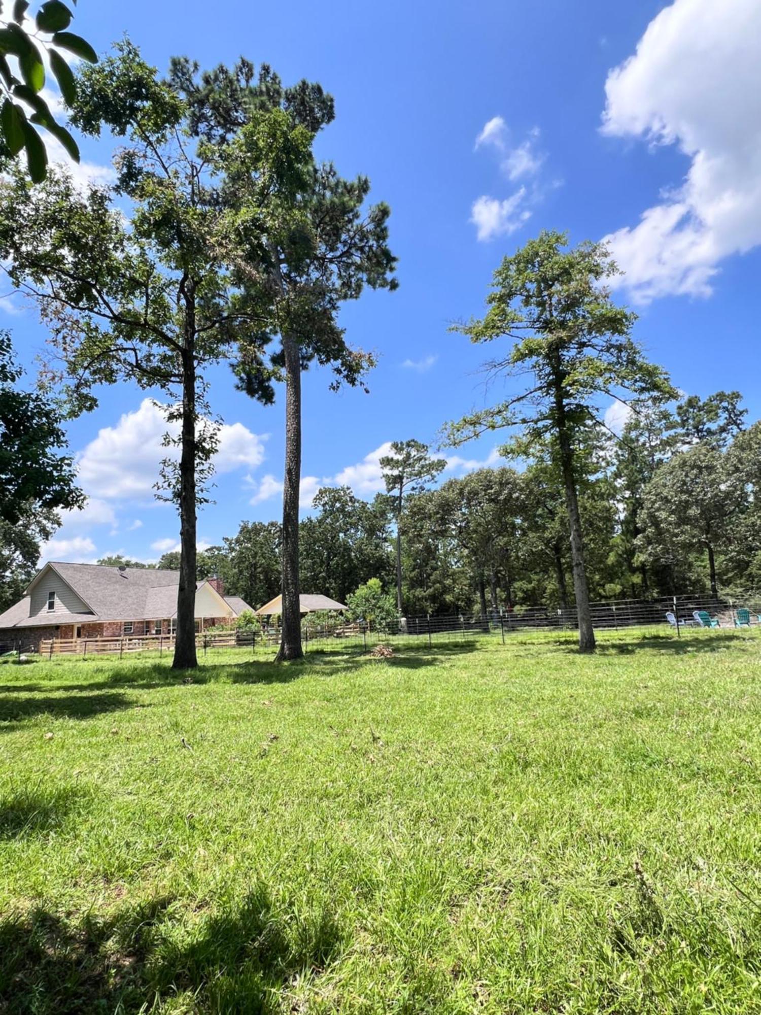 Country Getaway 4 Bedroom Resort In 10 Acre Lot 马格诺利亚 外观 照片